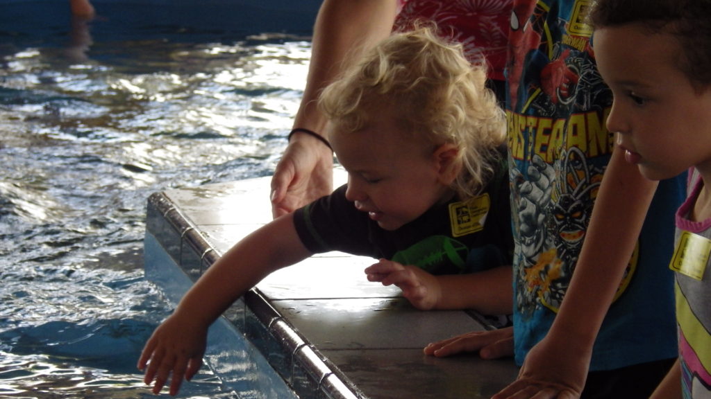 Florida Oceanographic Society Family Trip Martin County