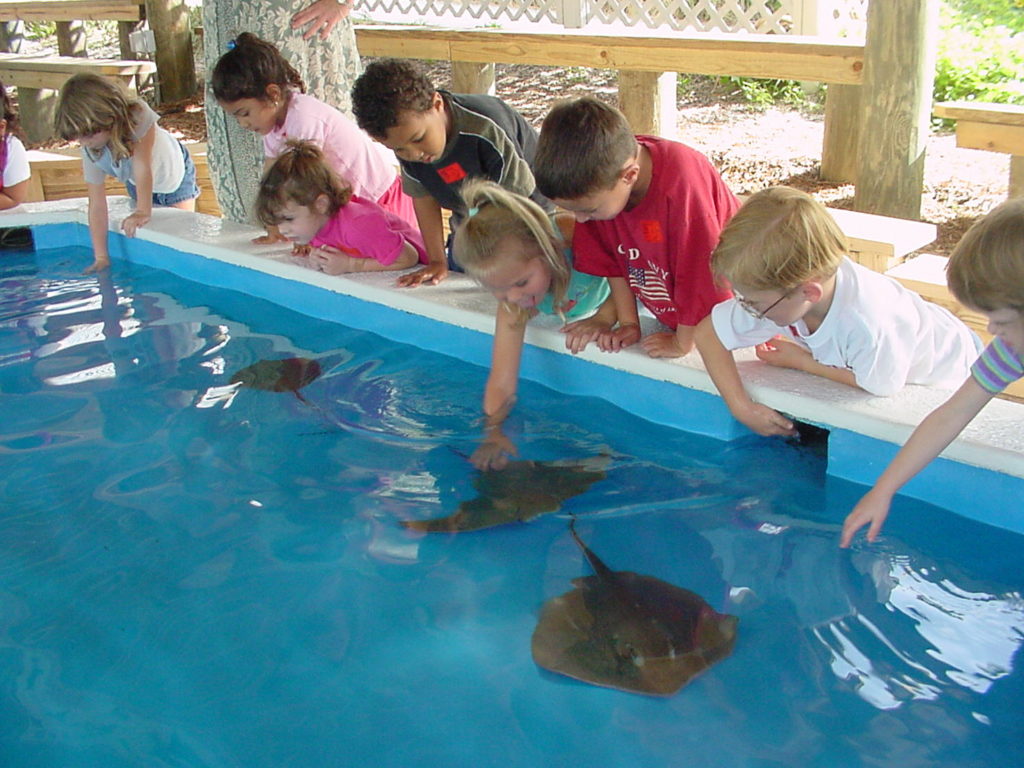 Kids at Ray Tank