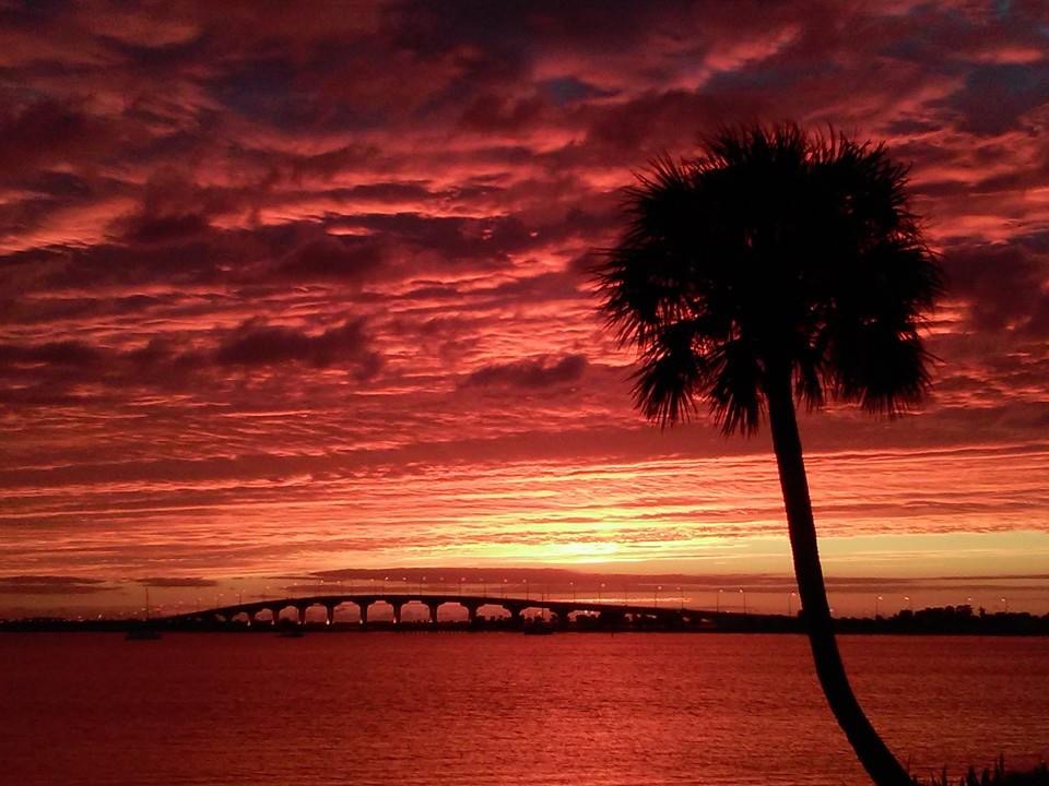 red sky with a palm tree and a bridge