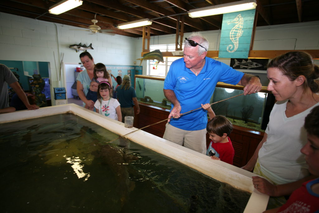 The Environmental Studies Center