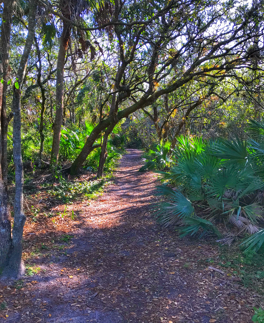 Halpatiokee Regional Park Image