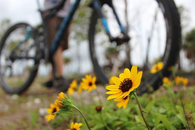 JD State Park's Biking Trails