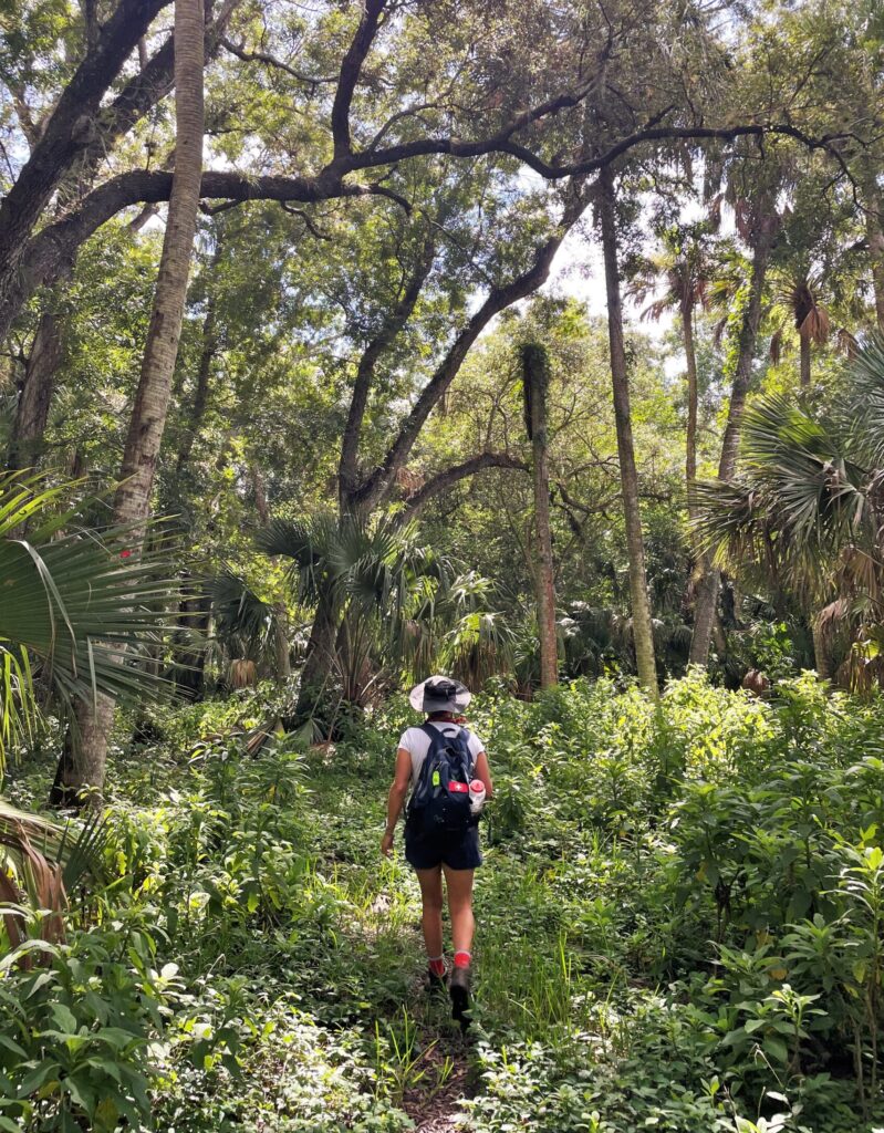 woman hiking in the woods