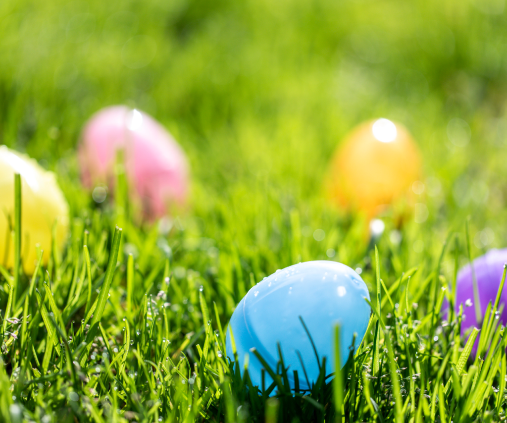 easter eggs in grass