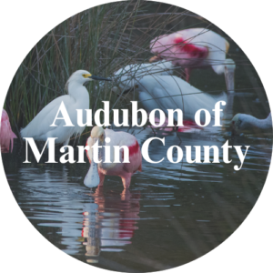 audubon of martin county