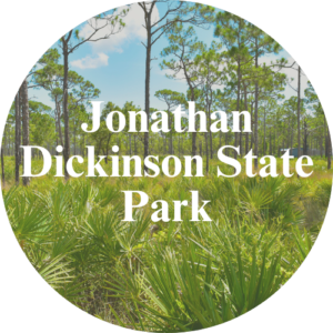 jonathan dickinson state park