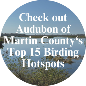 top 15 birding spots