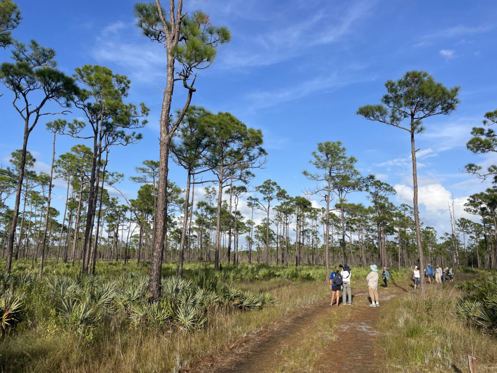 people on trail